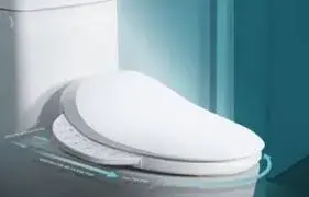 Bidet5[1]-884580-48505.webp